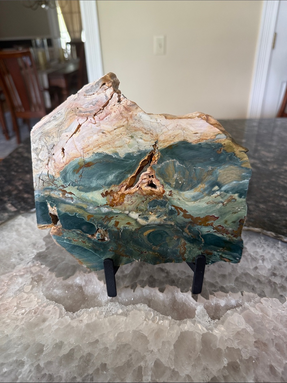 Bog wood slab Gary Green Jasper Larsonite from Oregon, Nevada
